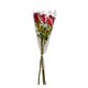 thumbnail image 1 of Rosas 3 Unidades, 1 Un, 1 of 4