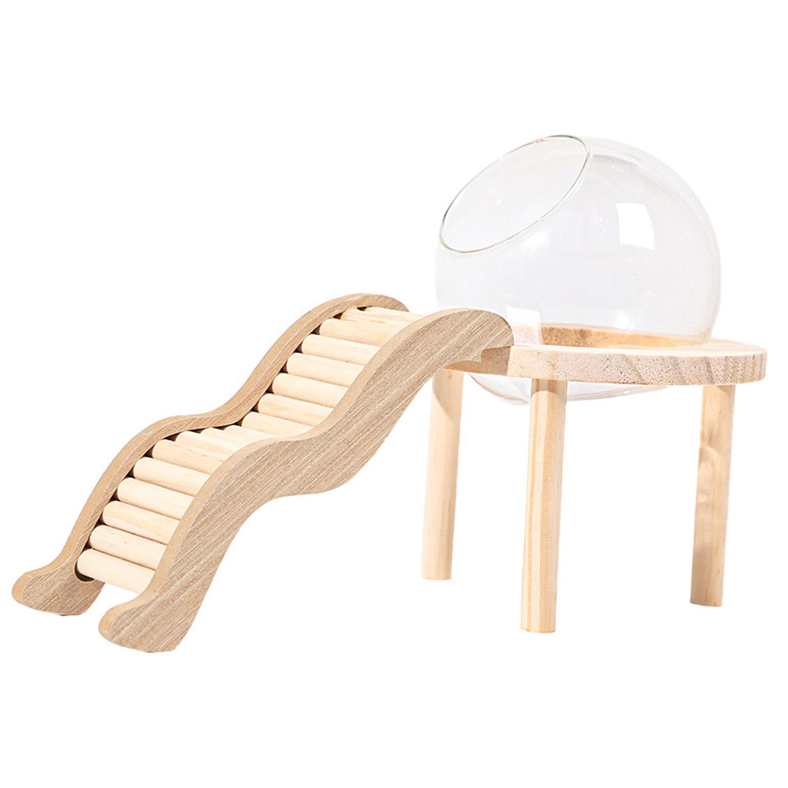 Magideal - Baño De Arena De Vidrio Transparente, Baño De Arena De Hámster, Maceta De Recipiente De Terrario De Vidrio Transparente Y Base De Madera Para Animales L