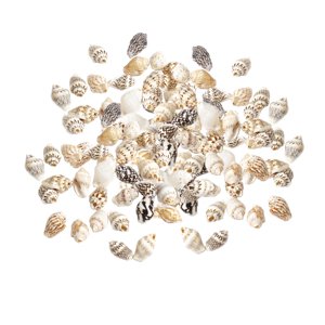 Magideal - 100X Adornos De Abalorios De Marinas Adornos Hechos Para La Fabricación De Joyas Manualidades Diy Fabricación De Para