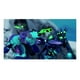 thumbnail image 3 of Fortnite Paquete Leyendas De Menta PS4 Físico azul, 3 of 4