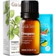 thumbnail image 1 of Aceite Esencial De Orégano 10 Ml Para Aromaterapia, 1 of 6