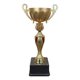 thumbnail image 1 of Copa Jn, 1 of 1