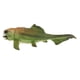 thumbnail image 1 of Realista Estático Océano Animal Modelo Juguete Ni?os Regalo Dunkleosteus, 1 of 5
