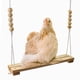 thumbnail image 2 of Accesorios De Madera Seguros Naturales Escalera Grande Y Duradera Para Aves De Corral Gallos Pollitos Parrots Macaw Entretenimiento Alivio Del Estrés Para Las Aves (30 * 7 6 * 120cm), 2 of 3