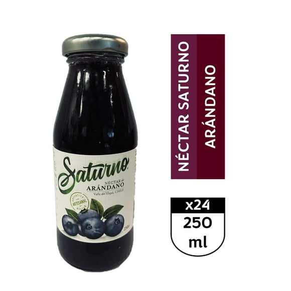Saturno Arándano 24 x 250 ml