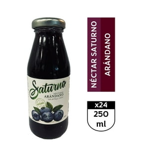Saturno Arándano 24 X 250 Ml
