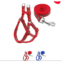 Genérico - Correa Para Mascota Color Liso 2Cm X 1.2 Mt