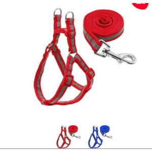 Genérico - Correa Para Mascota Color Liso 2Cm X 1.2 Mt