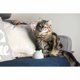 thumbnail image 4 of Hub Sure Petcare Para Productos Para Mascotas Connect, 4 of 9
