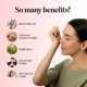 thumbnail image 3 of Aceite Esencial Blend Maple Holistics Clarify 30 ml Aromaterapia, 3 of 3