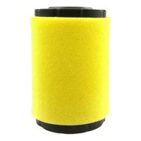 Genérico - Filtro De Aire 796031