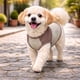 thumbnail image 4 of Playera sin Mangas para Perro Pet Life Active Aero-Pawlse Jaspeada, 4 of 8