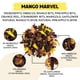 thumbnail image 2 of Té Herbal BREWIX Mango Marvel Suelto 100g Sin Cafeína, 2 of 9