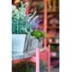 thumbnail image 2 of Lavanda Blanca En Macetero De Madera 32 Cm, 2 of 3