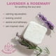 thumbnail image 4 of Vaporizadores de ducha Beauty de Earth Chill con aromaterapia de lavanda, 4 of 7