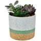 thumbnail image 1 of Suculenta Decorativa Maceta Artdeco, 1 of 4