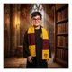 thumbnail image 1 of Disfraz Harry Potter Niño Capa Gryffindor Bufanda Lentes Set, 1 of 7