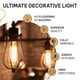 thumbnail image 4 of Bombillas Hudson Bulb Co. Edison incandescente vintage de 60 W, 4 of 9