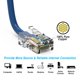 thumbnail image 4 of Cable Ethernet FireFold Cat6 30 m 550 MHz Azul, 4 of 4