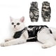 thumbnail image 1 of Traje de Recuperación para Gatos DOTON M Camuflaje Post Cirugía, 1 of 5