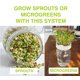 thumbnail image 5 of Kit de germinación de semillas ZESTIGREENS con 2 frascos Mason y soporte, 5 of 7