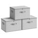 thumbnail image 1 of Cajas de almacenamiento SONGMICS juego de 3 – 29 L con cremallera, plegables, 1 of 6