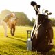 thumbnail image 3 of Limpiador portátil de pelotas de golf Clean Flight rosa, 3 of 9