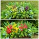 thumbnail image 5 of Plantas Artificiales 24 Piezas Alupssuc Resistentes a Rayos UV para Exterior, 5 of 9
