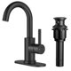 thumbnail image 1 of Grifo de baño FORIOUS negro con 1 o 3 orificios para lavabo de una sola manija, 1 of 9