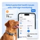 thumbnail image 4 of Localizador GPS Tractive Smart para perro con 6 meses de suscripción, 4 of 7