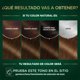 thumbnail image 4 of Coloración Cabello 5.31 Castaño Dorado Cenizo, 4 of 10