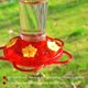 thumbnail image 4 of Comedero para colibríes Shrdaepe 23 cm 285 ml, paquete de 2, 4 of 7