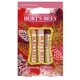 thumbnail image 1 of Set de 3 colores Lip Shimmer Burt's Bees Kissable, colección Cool, 1 of 6