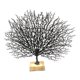 thumbnail image 5 of Escultura De Coral De Plástico Adorno De Mesa Decoración Estatuilla De Mesa Negro, 5 of 5