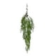 thumbnail image 1 of Helecho Colgante De Pino 100cm, 1 of 3