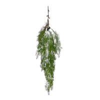 Corel - Helecho Colgante De Pino 100Cm
