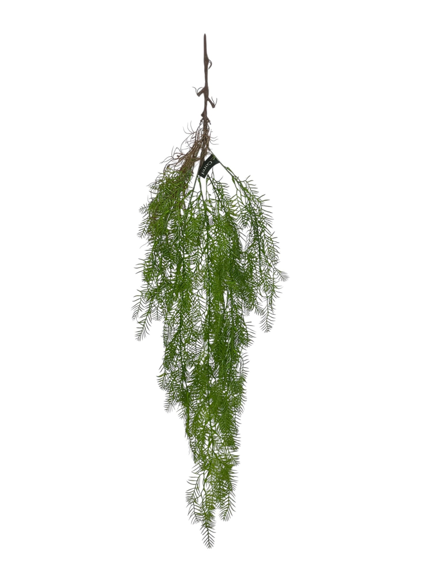Corel - Helecho Colgante De Pino 100Cm