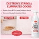 thumbnail image 3 of Limpiador de alfombras SKOUT'S HONOR Severe Mess 1035 ml en spray, 3 of 9