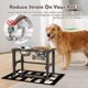 thumbnail image 2 of Cuencos para Perro SHAINFUN de Altura Regulable 2x1,715 ml, 2 of 8