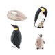 thumbnail image 3 of Penguin Life Cycle Model Animals Juego Cognitivo Para Materiales De Ense?anza Estilo A, 3 of 5
