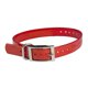 thumbnail image 4 of Collar para perro The Buzzard's Roost correa verde de 2.54 cm, 4 of 5