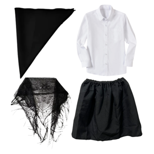 Genérico - Traje Tipico Chilote Fiestas Patrias Blusa Y Accesorios