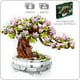 thumbnail image 4 of 462pcs Bloque De Construcción De Flores De Cerezo Bonsái Decoración. Regalo de cumpleaños., 4 of 6