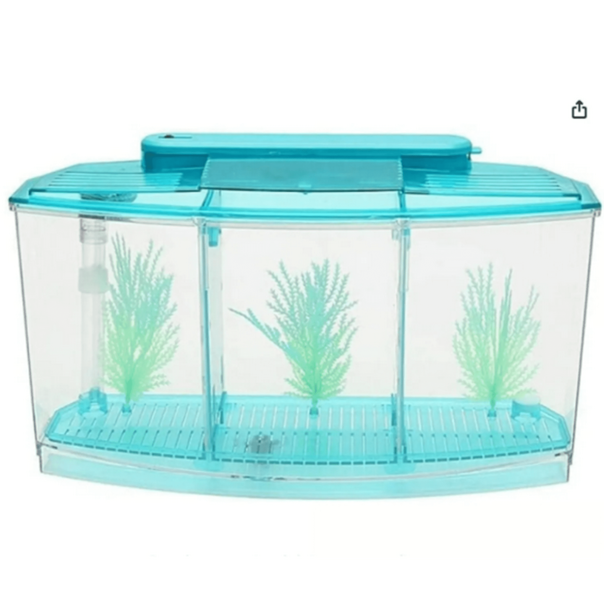 Genérico - Mini Pecera Caja Cubo Betta Acuario Separaciones