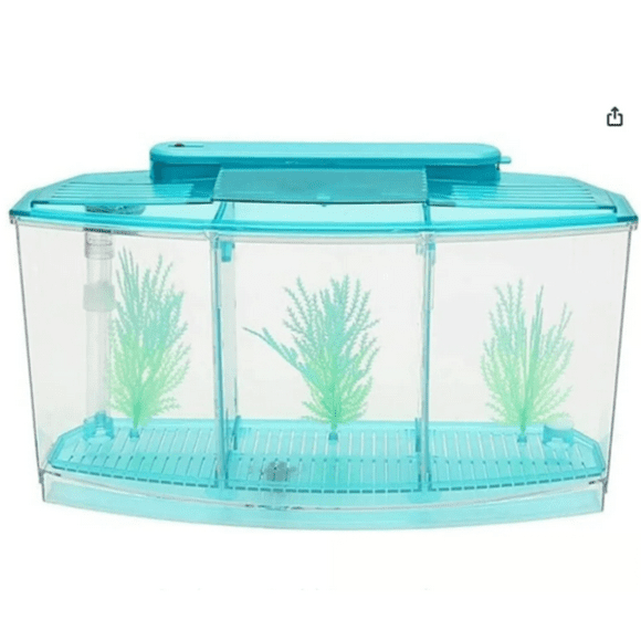Mini Pecera Caja Cubo Betta Acuario Separaciones