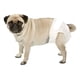 thumbnail image 2 of Pañales Desechable Para Perro Hembra 10 Unidades Talla Xl, 2 of 2
