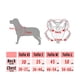 thumbnail image 2 of Arnes Pechera Perro Xcho Mascota Comodo Reflectante Talla S (Lineas), 2 of 3