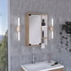 thumbnail image 1 of Botiquin Para Baño Martinica 52,2x47,2x14,6 Cm Miel Y Blanco Con Espejo, 1 of 8