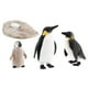 thumbnail image 5 of Juguetes De Ciclo De Crecimiento De Pingüinos, Juguete Educativo, Modelo De Ciclo De Vida Animal StyleC, 5 of 5