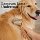 thumbnail image 3 of Peine Deslanador Freshly Bailey Doble Cara para Mascotas, 3 of 3